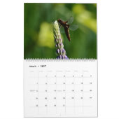 Süße Libellen in der Natur Wandkalender (Mär 2027)