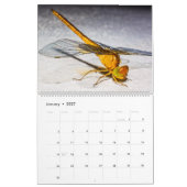 Süße Libellen in der Natur Wandkalender (Jan 2027)