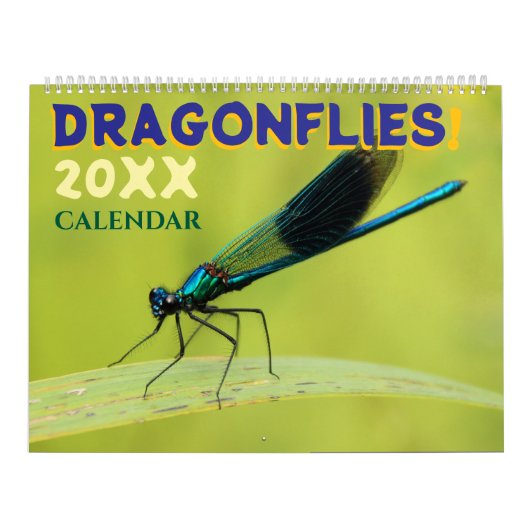 Süße Libellen in der Natur Wandkalender (Titelbild)