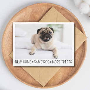 Süße Lustige Moderne Neue Heimfotografie Hund Postkarte