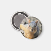 Süsse Magnet (Vorderseite/Rückseite)