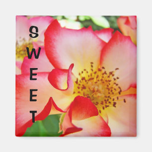 SÜSSE Magnet-Geschenk Rote Weiße Rosa Rose Blumen Magnet