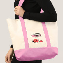 Süße Marienkäfer zur Oma befördert rosa