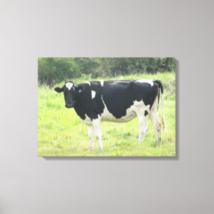 Süße Milchkuh-Foto-Wand-Leinwandkunst Leinwanddruck