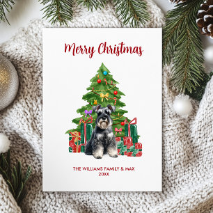 Süße Miniaturschnauzer-Hundefamilie Weihnachten