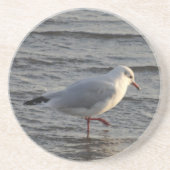 Süße Möwe Getränkeuntersetzer (Vorne)