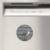 Süße Möwe Magnet (In Situ (Geschirrspüler))