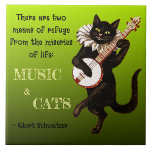 Süße musikalische Katze Zwei Zufluchtsorte Schweit Fliese