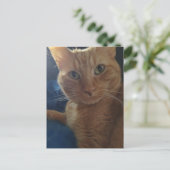Süße niedliche Ginger-Tabby-Katze Postkarte (Stehend Vorderseite)