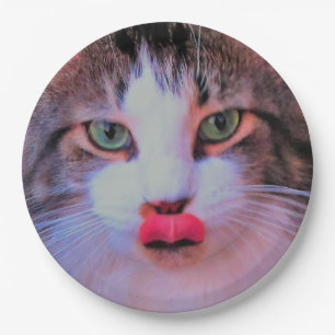 Süße niedliche Katze mit rosa Zunge, die Lippen le Pappteller