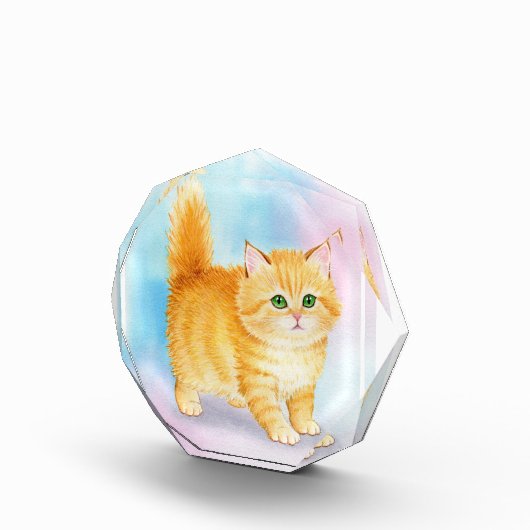 Süße orange getigerte Katze Fotoblock (Rechts)