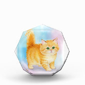 Süße orange getigerte Katze Fotoblock (Vorderseite)