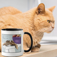 Süße orange getigerte Katze genießt lustiges Warte