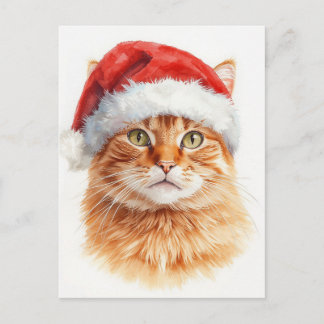 Süße orange getigerte Katze in Santa-Mütze Feiertagspostkarte