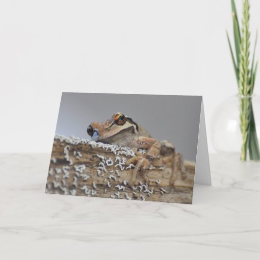 Süsse Pacific Tree Frog-Framework Art Card Karte (Vorderseite)