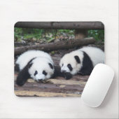 Süße Panda-Babys-Mauspad Mousepad (Mit Mouse)