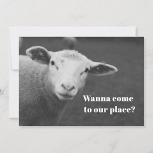 Süße Pessach-Einladung Einladung