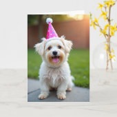 Süße Pet-Partyhut-Geburtstagskarte Karte (Gelbe Blume)