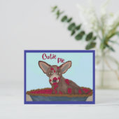 Süße Pie Chihuahua Postkarte (Stehend Vorderseite)