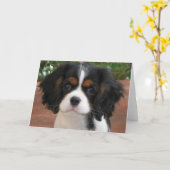 Süsse Pie Karte (Gelbe Blume)