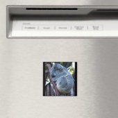 Süsse Pie Koala Magnet (In Situ (Geschirrspüler))