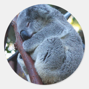 Süsse Pie Koala Runder Aufkleber