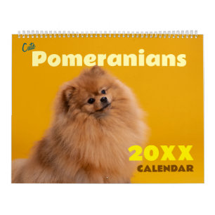 Süße Pomeranian-Kalender 2027 Hunde Kalender