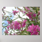 Süße Poster (Vorne)