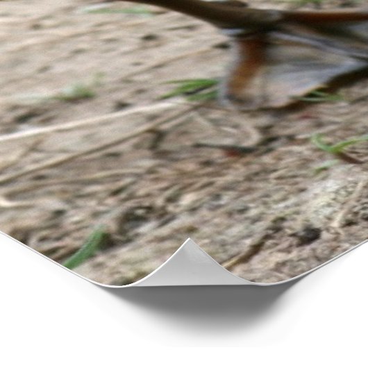 "Süsse" Poster (Ecke)