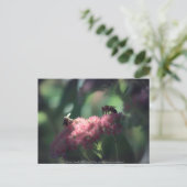 Süße Postkarte (Stehend Vorderseite)