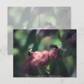 Süße Postkarte (Vorne/Hinten)