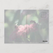 Süße Postkarte (Rückseite)