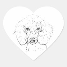 Süße Pudel-Hund-Illustration, handgezeichnet