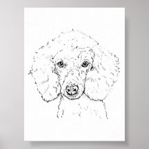 Süße Pudel-Hund-Illustration, handgezeichnet