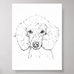 Süße Pudel-Hund-Illustration, handgezeichnet Poster