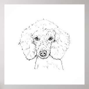 Süße Pudel-Hund-Illustration, handgezeichnet Poster