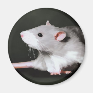 Süße Ratte Malerei Magnet