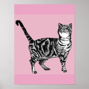 Süße rosa gestreifte Tabby-Katze Katzen Poster Kun