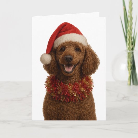 Süße rote / braune Poodle-Weihnachtskarte Karte (Vorderseite)