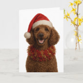 Süße rote / braune Poodle-Weihnachtskarte Karte (Gelbe Blume)