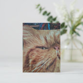 Süße rote Katzen Collage Postkarte (Stehend Vorderseite)