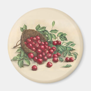 Süße rote Kirschen Magnet