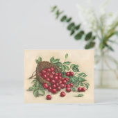 Süße rote Kirschen Postkarte (Stehend Vorderseite)