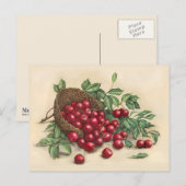 Süße rote Kirschen Postkarte (Vorne/Hinten)