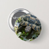 Süße Schildkröte Button (Vorne & Hinten)