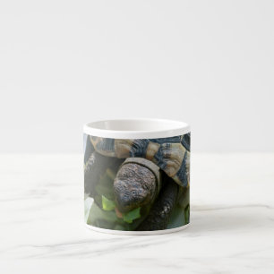 Süße Schildkröte Espressotasse