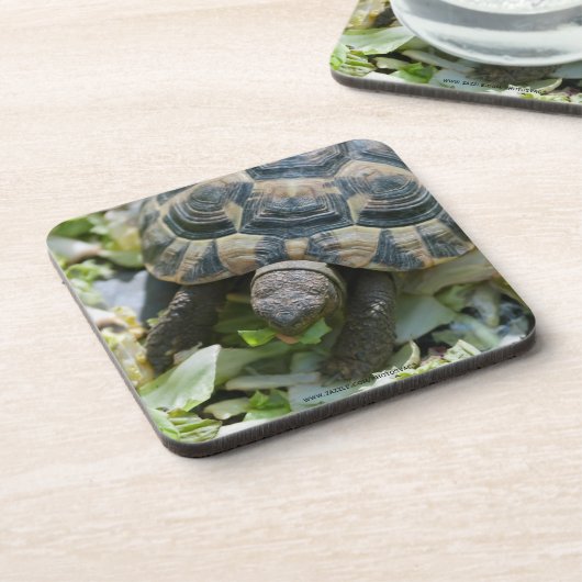 Süße Schildkröte Getränkeuntersetzer (Linke Seite)