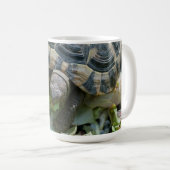 Süße Schildkröte Kaffeetasse (VorderseiteRechts)