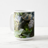 Süße Schildkröte Kaffeetasse (Vorderseite Links)