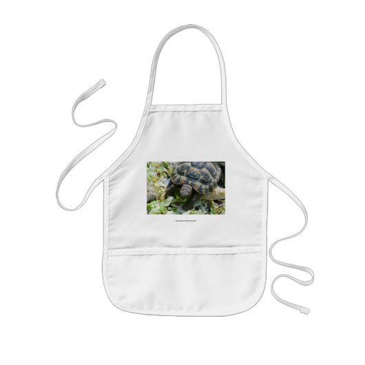 Süße Schildkröte Kinderschürze (Vorne)